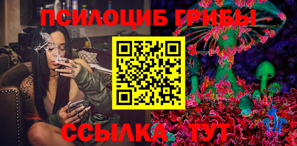 Рассказово  Галлюциногенные грибы мухоморы  Вход с VPN 