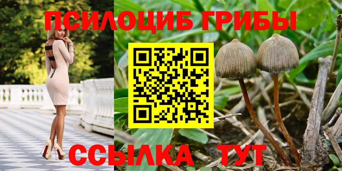 Галлюциногенные грибы Psilocybine cubensis Рассказово